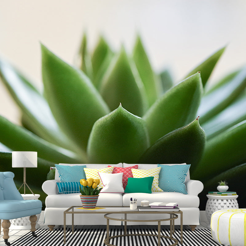 Tropical Plants Mural Decal Customized Modern Wall Covering for House Interior