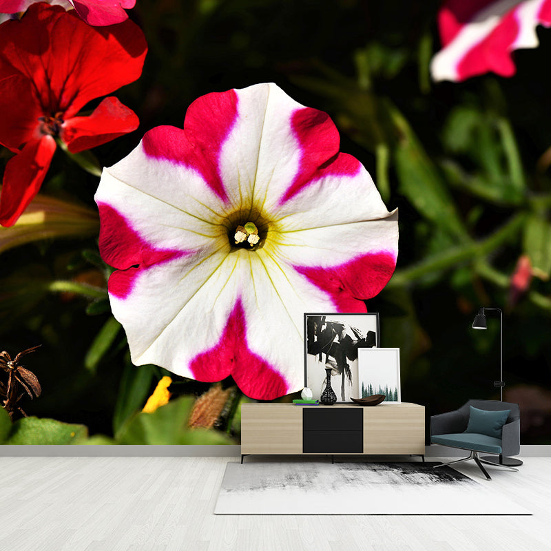 Beautiful Petunia Mural Wallpaper Mildew Resistant for Living Room Decor