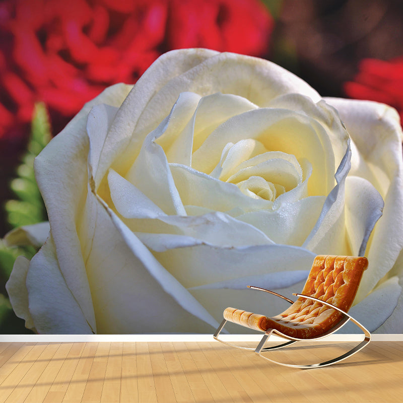 Rose Mural Wall Covering Close-Up Photography Decorative Mildew Resistant Wallpaper