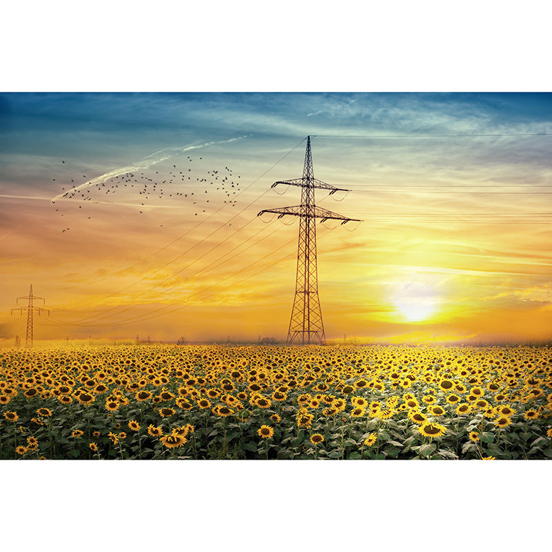 Sunflower Field Mural Wall Covering for Living Room Decorative Mildew Resistant Wallpaper