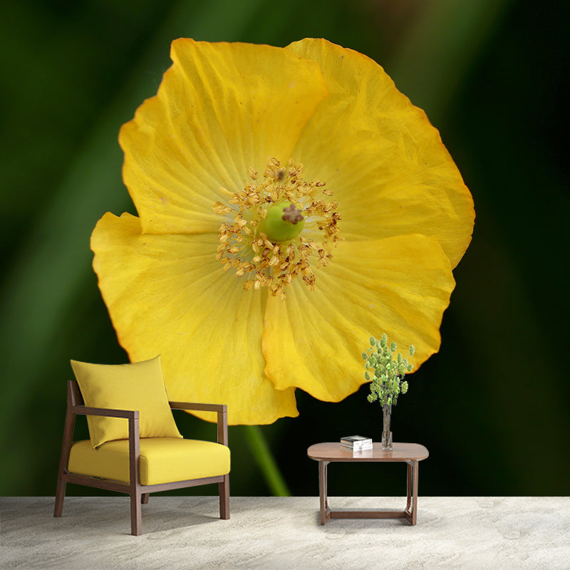 Beautiful Flower Mural Wallpaper Mildew Resistant for Living Room Decor