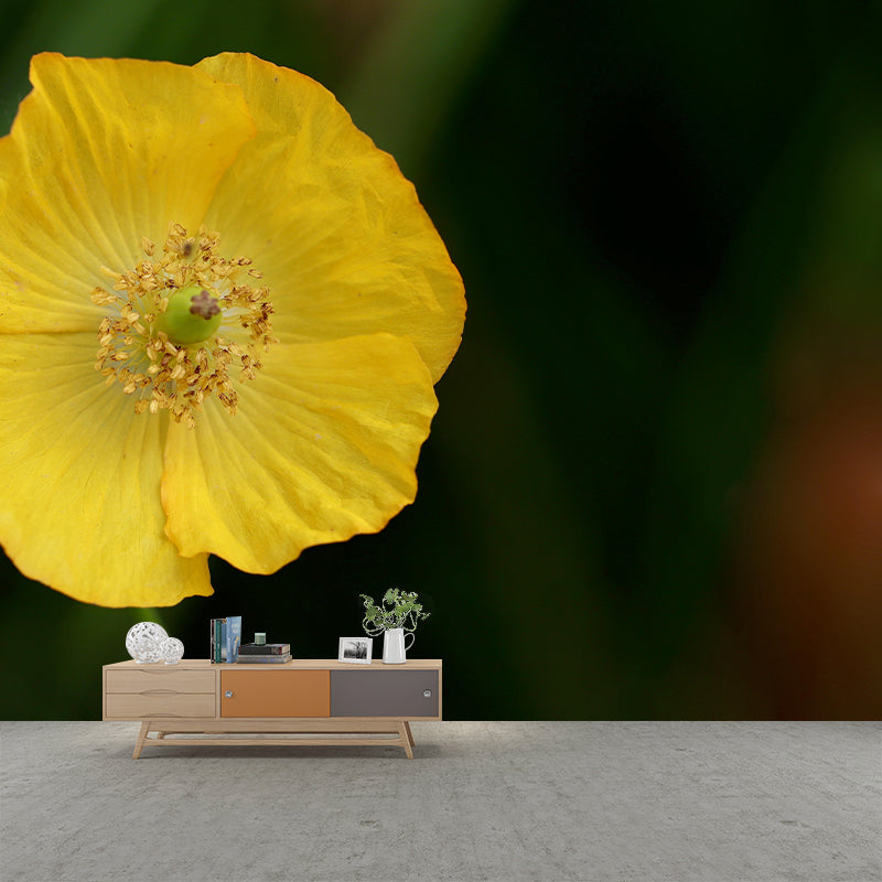 Beautiful Flower Mural Wallpaper Mildew Resistant for Living Room Decor