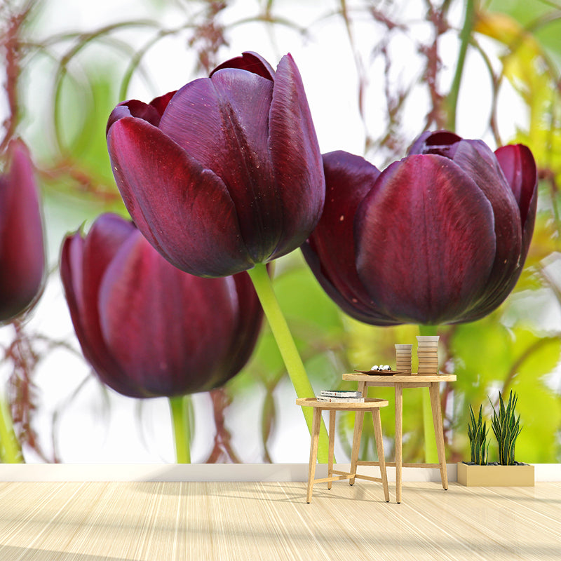 Beautiful Tulips Mural Wallpaper Mildew Resistant for Living Room Decor