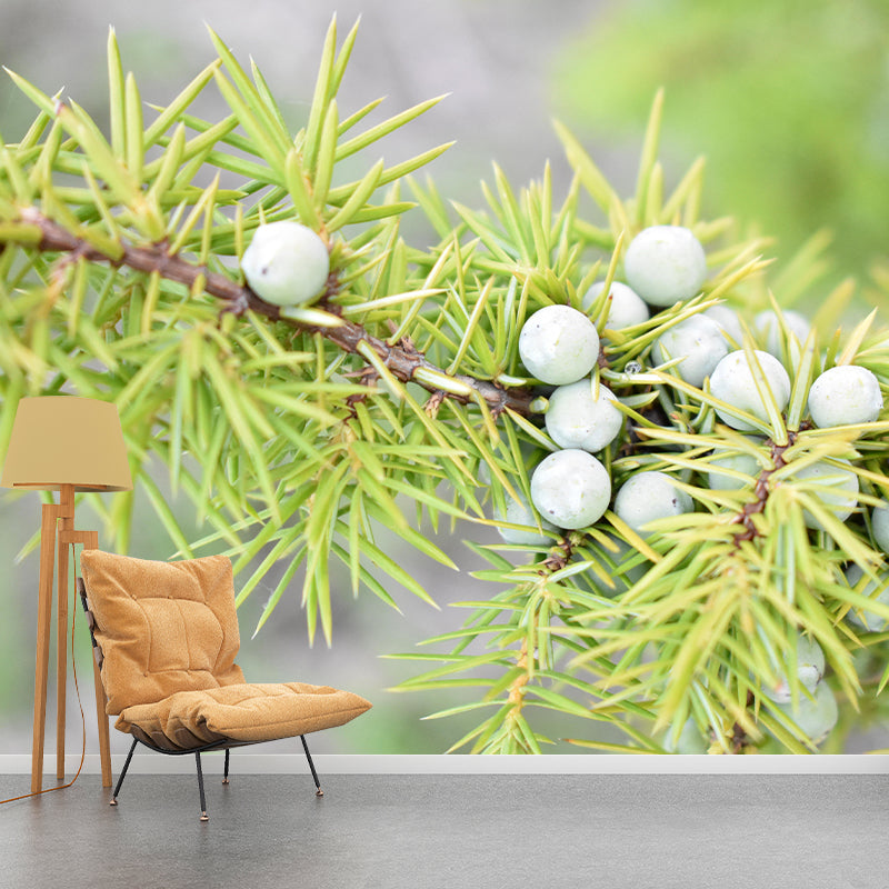 Customized Juniper Wall Mural Stain Resistant Eco-friendly Wallpaper for Living Room