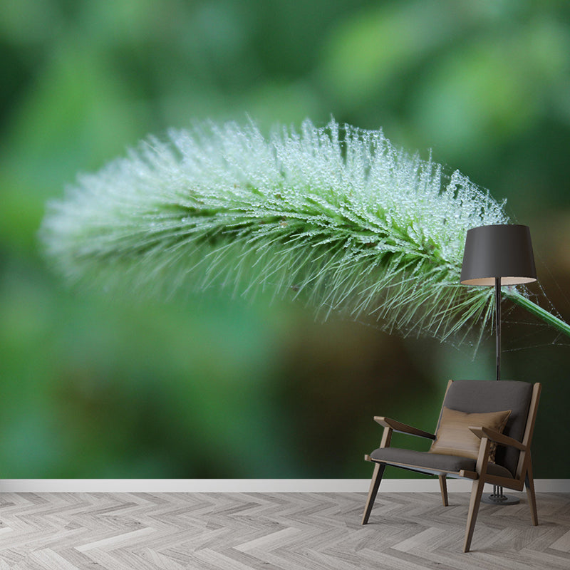 Customized Dogs Tail Grass Wall Mural Stain Resistant for Living Room Decor