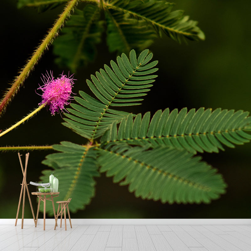 Customized Mimosa Plant Wall Mural Stain Resistant for Living Room Decor