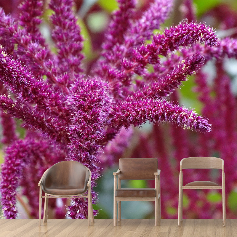 Foxtail Plant Mural Wallpaper Eco-friendly Moisture Resistant for Bedroom Decor