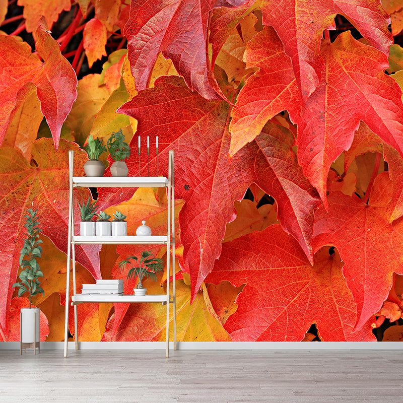 Wild Grape Leaves Mural Wallpaper Eco-friendly Moisture Resistant for Bedroom