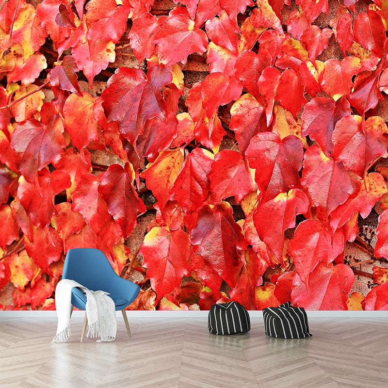 Wild Grape Leaves Mural Wallpaper Eco-friendly Moisture Resistant for Bedroom