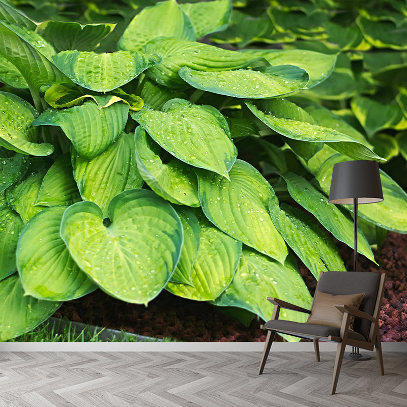 Customized Hosta Leaf Wall Mural Stain Resistant for Living Room Decor