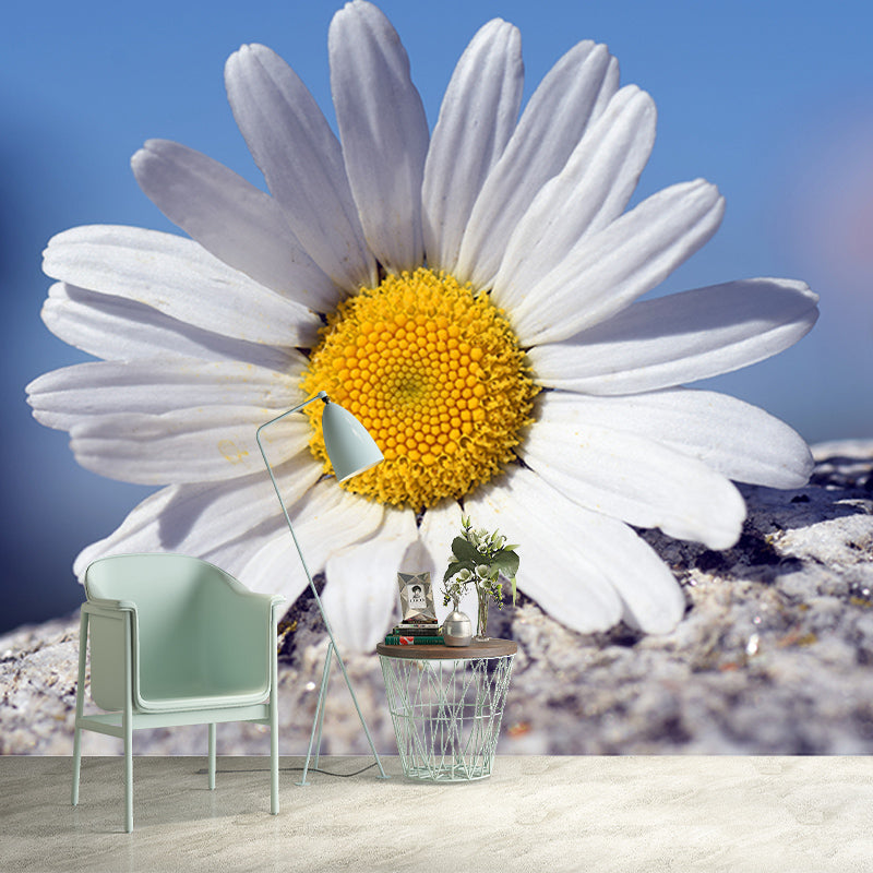 Marguerite Flower Wall Mural for Sleeping Room Decoration, Custom Size Available