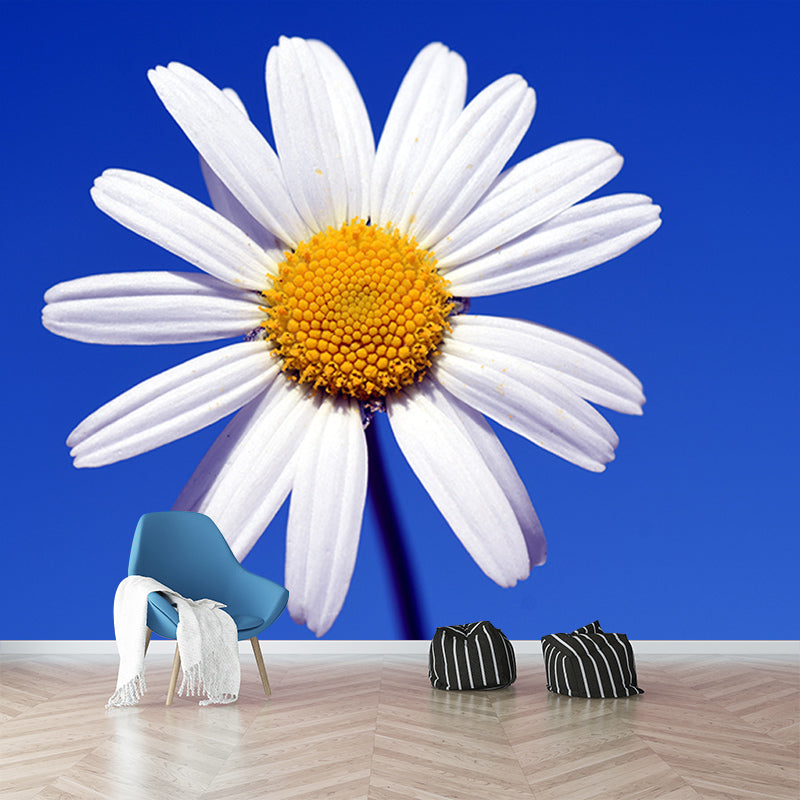 Marguerite Flower Wall Mural for Sleeping Room Decoration, Custom Size Available