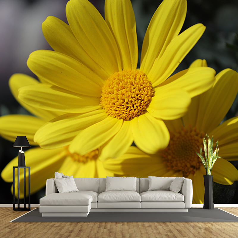 Marguerite Flower Wall Mural for Sleeping Room Decoration, Custom Size Available