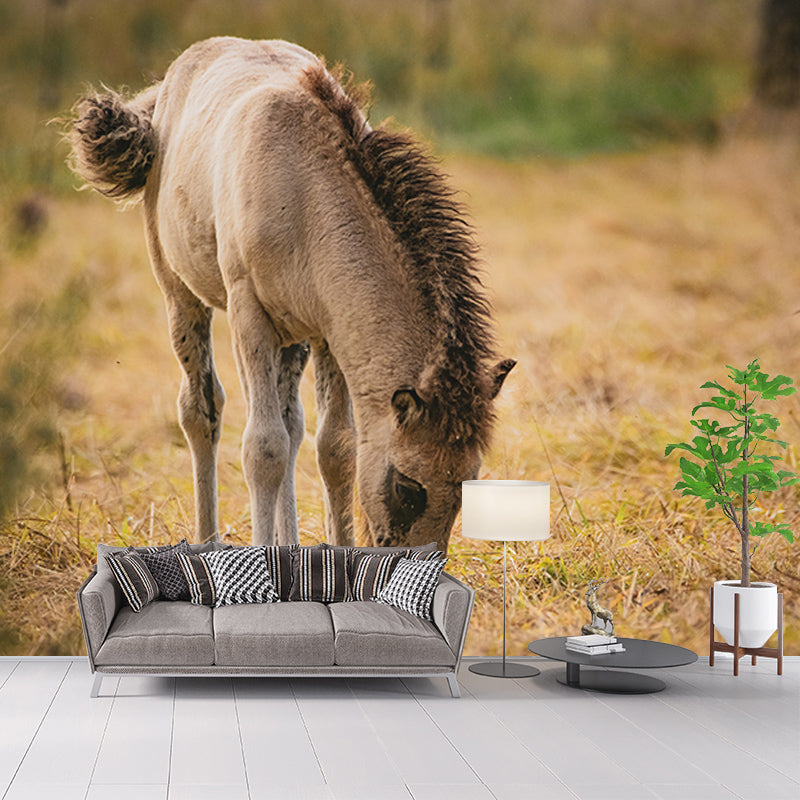 Horse Wall Mural Decal Moisture Resistant Modern Living Room Wall Covering