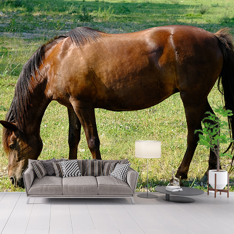 Horse Wall Mural Decal Moisture Resistant Modern Living Room Wall Covering