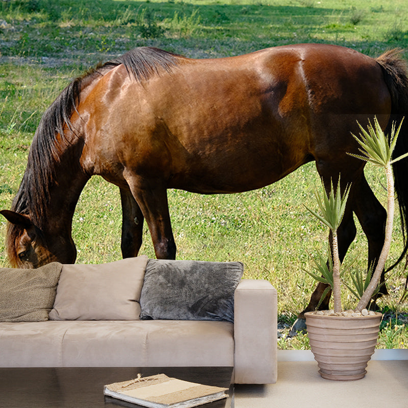 Horse Wall Mural Decal Moisture Resistant Modern Living Room Wall Covering