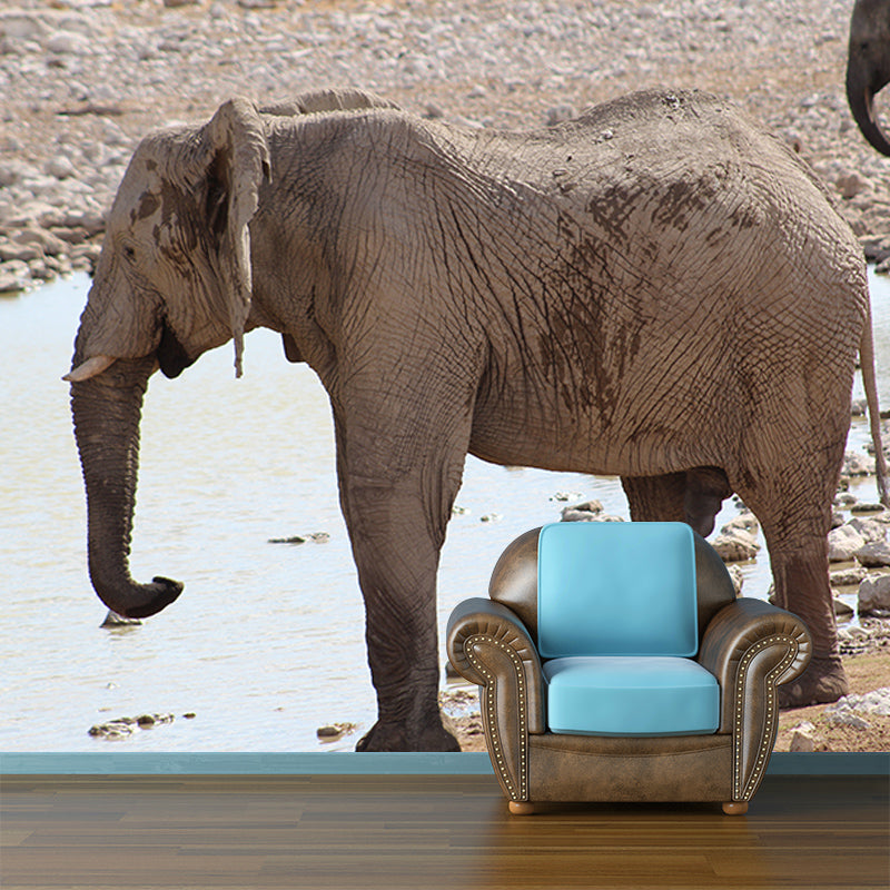 Elephant Mural Wallpaper Meeting Room Living Room Home Decor, Custom Size Available