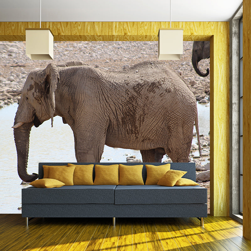 Elephant Mural Wallpaper Meeting Room Living Room Home Decor, Custom Size Available