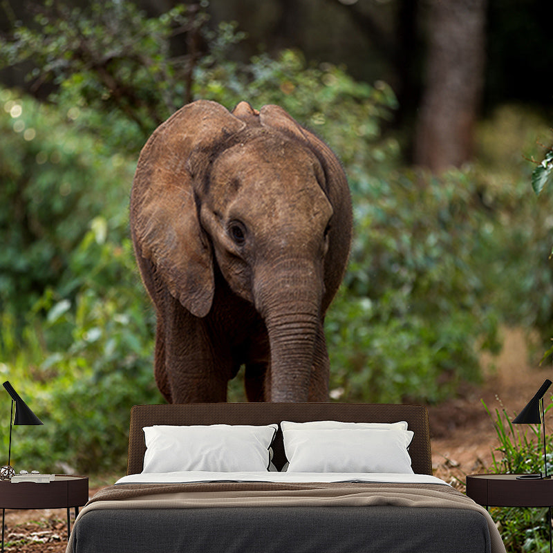 Elephant Mural Wallpaper Meeting Room Living Room Home Decor, Custom Size Available