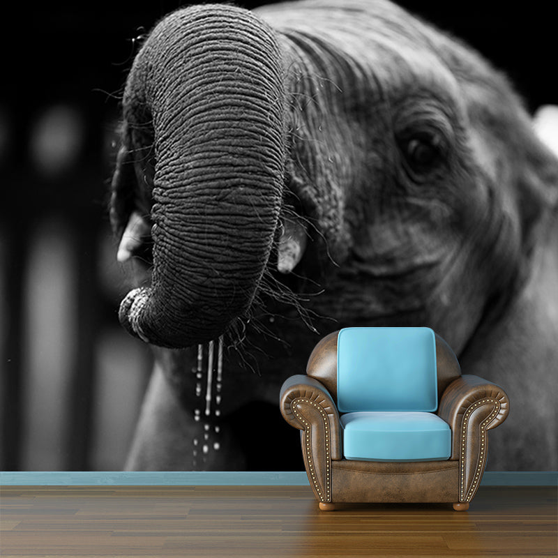 Elephant Mural Wallpaper Meeting Room Living Room Home Decor, Custom Size Available