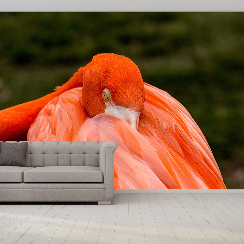 Tropical Flamingo Wall Mural Moisture Resistant Wall Covering for Living Room, Customised