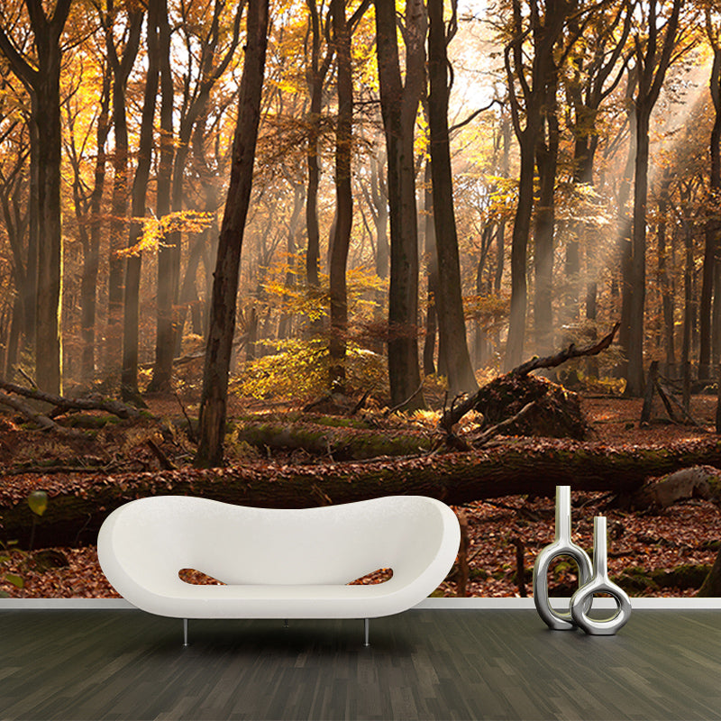 Autumn Forest Scenery Mural Wallpaper Wall Decor Waterproof, Home Decor