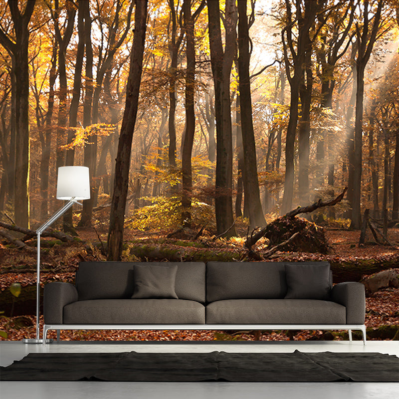 Autumn Forest Scenery Mural Wallpaper Wall Decor Waterproof, Home Decor