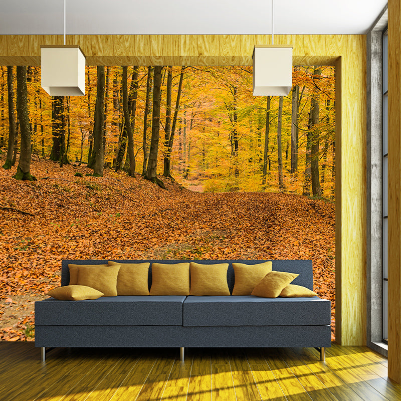 Autumn Forest Mural Wallpaper Stain Resistant for Living Room, Custom Size Available