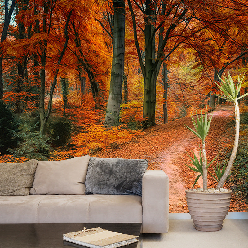 Autumn Forest Mural Wallpaper Stain Resistant for Living Room, Custom Size Available