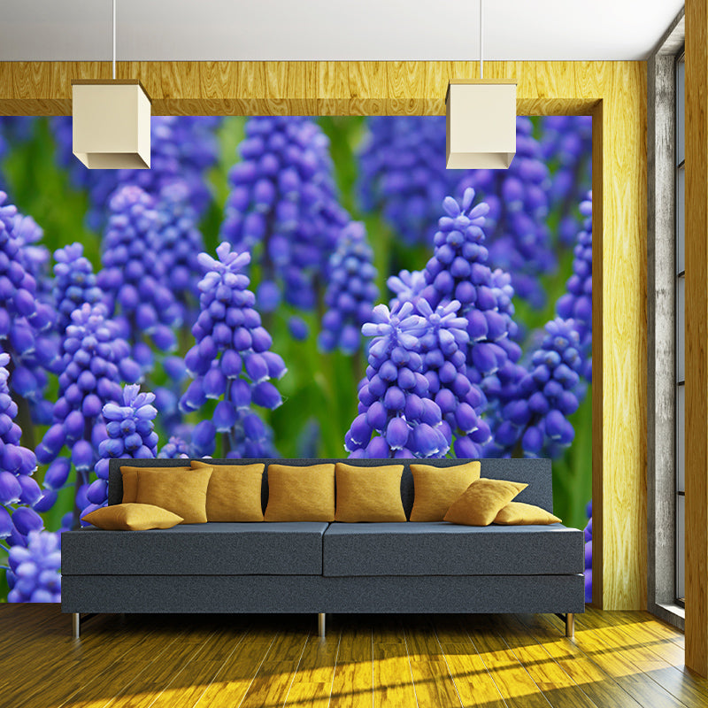 Hyacinth Mural Wallpaper Moisture Resistant Home Decor for Sitting Room