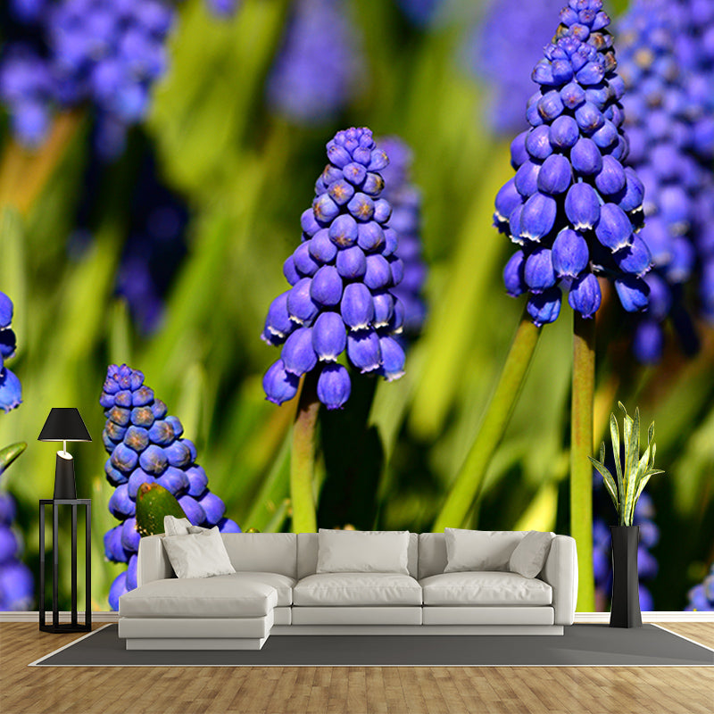 Hyacinth Mural Wallpaper Moisture Resistant Home Decor for Sitting Room