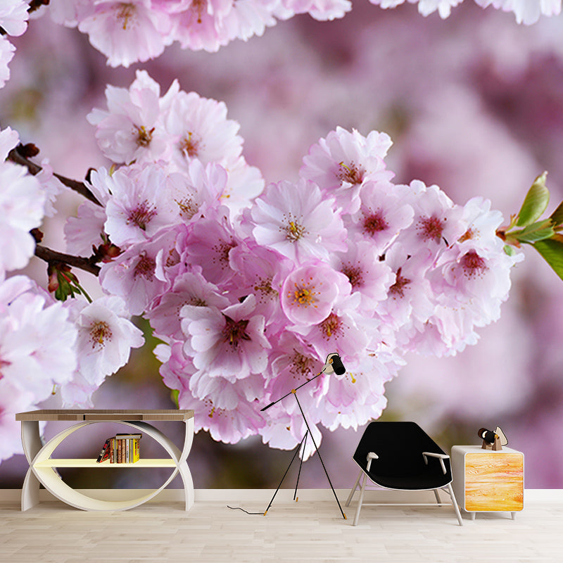 Cherry Blossoms Mural for Living Room Decoration in Pink, Made to Measure