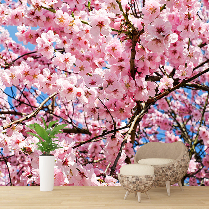 Cherry Blossoms Mural for Living Room Decoration in Pink, Made to Measure