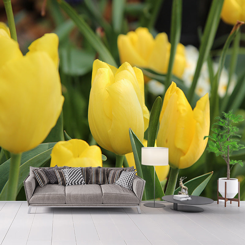 Tulip Wall Mural Decal for Living Room Flower Wall Decor, Customized Size Available