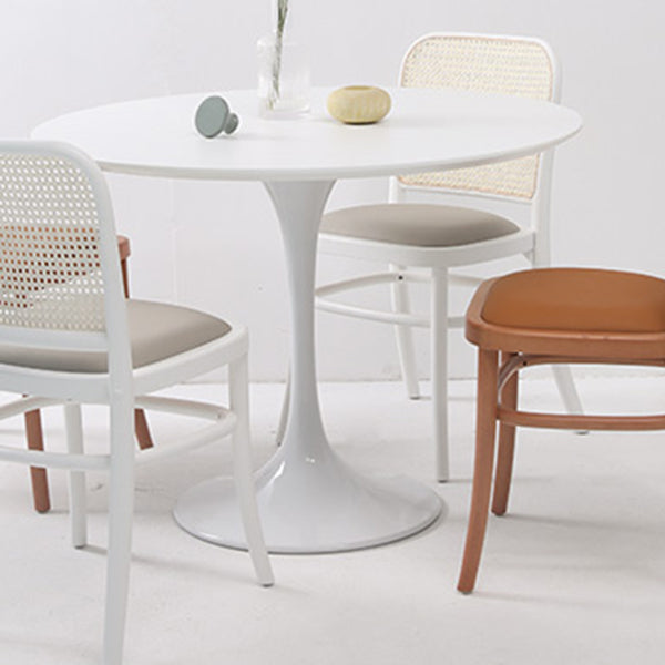 Round Tulip Base Modern Dining Table White Fixed Table with Sintered Stone