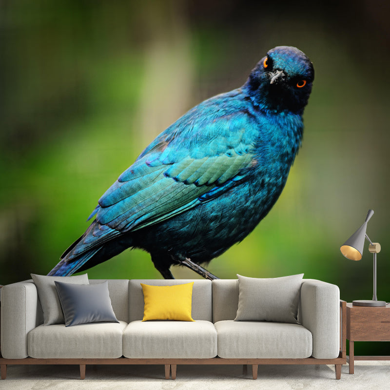 Myna Animal Wallpaper Mural Contemporary Style Wall Art for Living Room