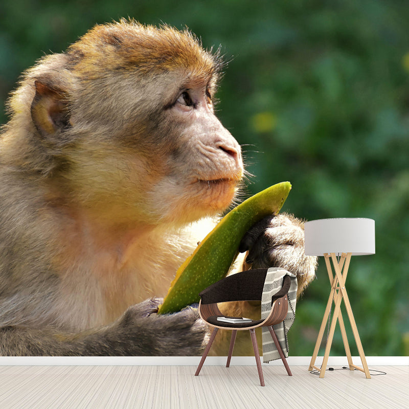 Monkey Animal Wallpaper Mural Contemporary Style Wall Art for Living Room