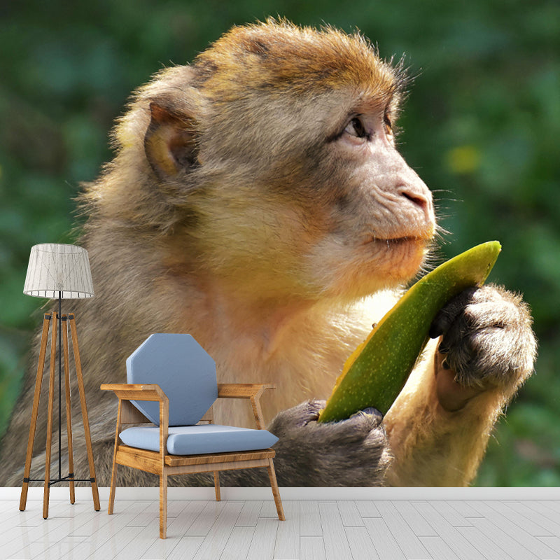 Monkey Animal Wallpaper Mural Contemporary Style Wall Art for Living Room