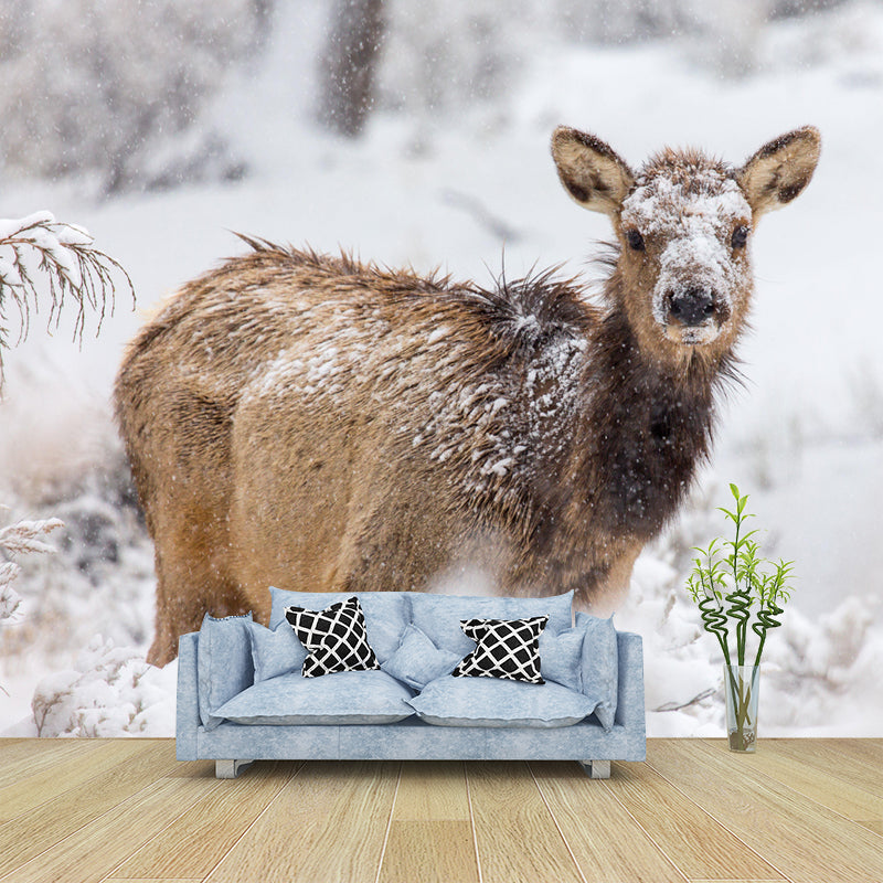 Elk Animal Wallpaper Mural Contemporary Style Wall Art for Living Room