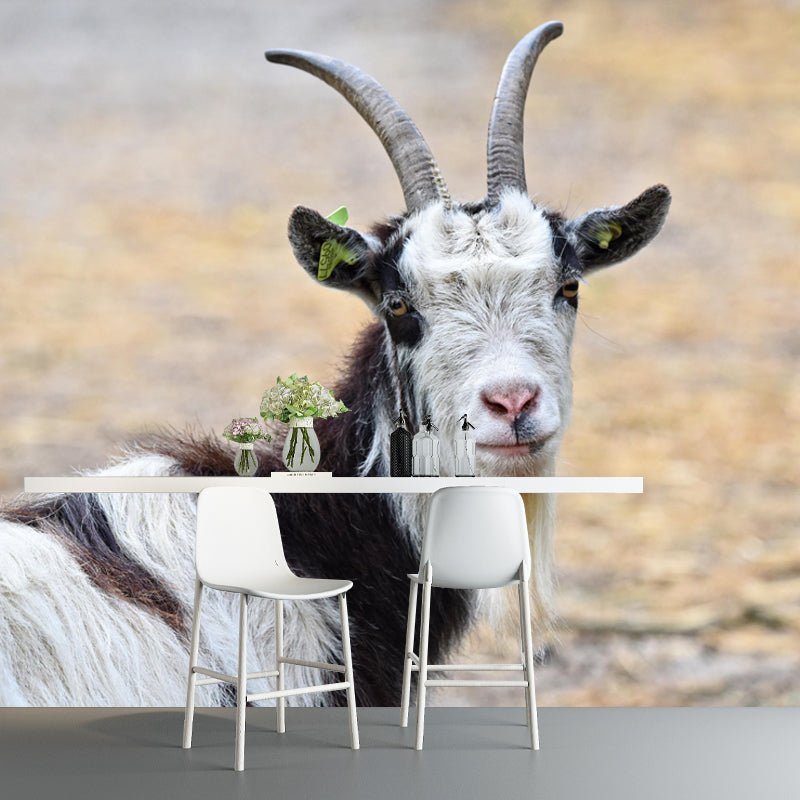 Goat Animal Wallpaper Mural Contemporary Style Wall Art for Living Room
