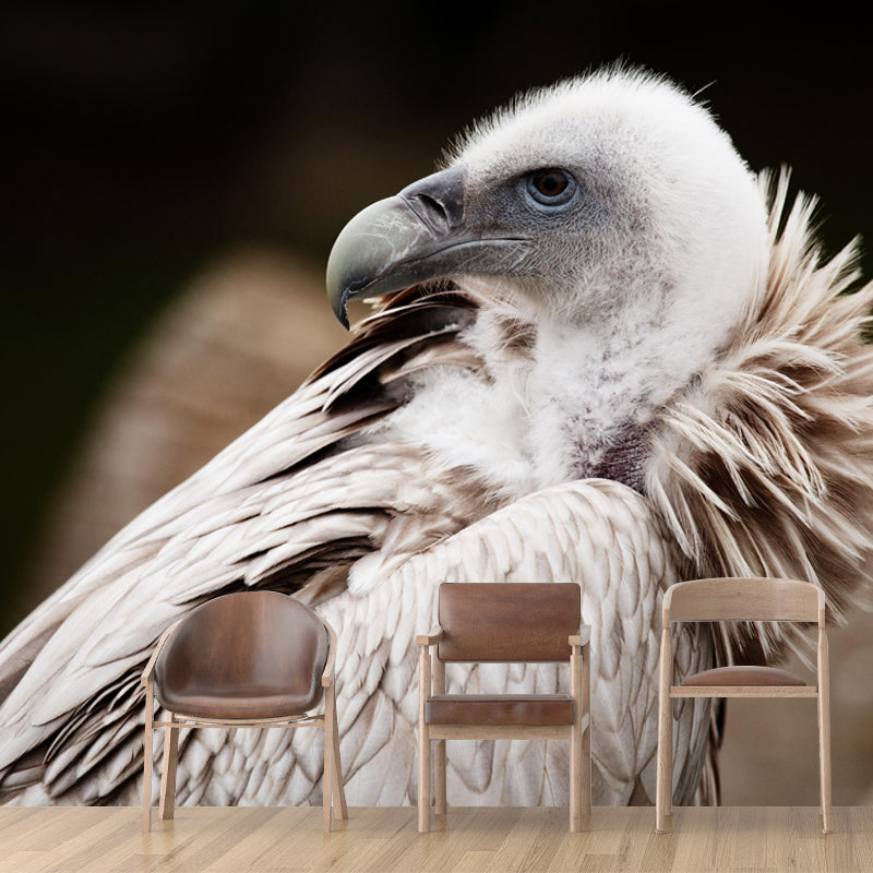 Horizontal Photography Vulture Wall Mural Wallpaper Moisture Resistant Mural