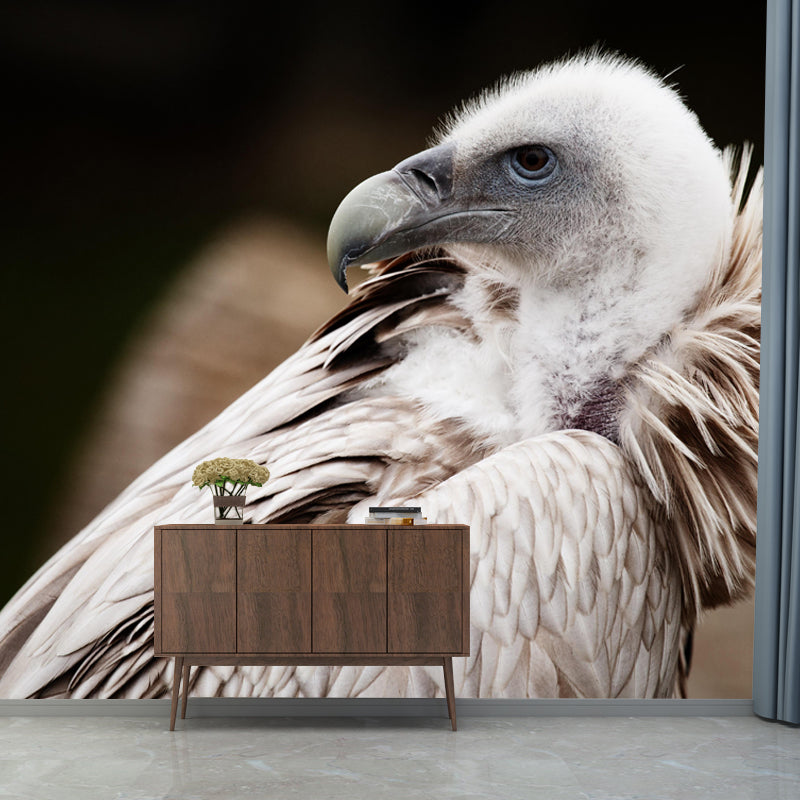 Horizontal Photography Vulture Wall Mural Wallpaper Moisture Resistant Mural