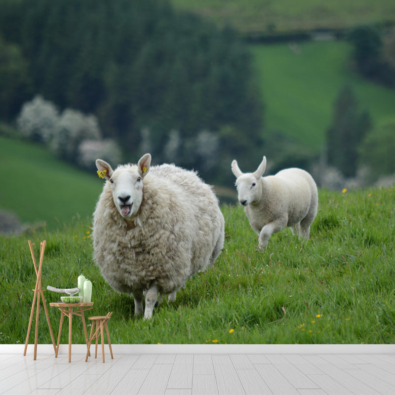 Sheep Animal Wallpaper Mural Contemporary Style Wall Art for Living Room