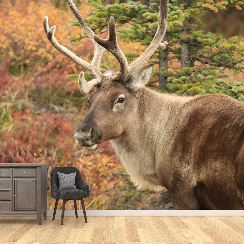 Deer Animal Mural Wallpaper Decorations for Sitting Room, Stain Resistant