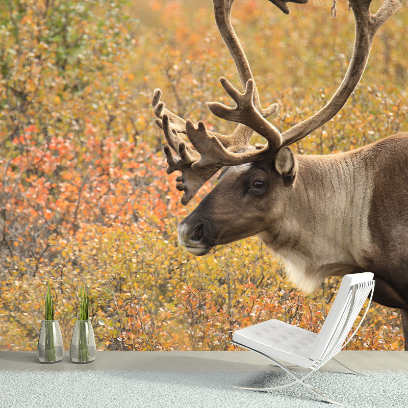 Deer Animal Mural Wallpaper Decorations for Sitting Room, Stain Resistant