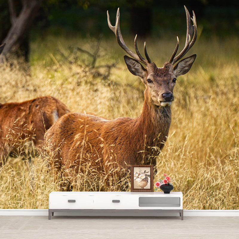 Deer Customized Modern Animal Mural Wallpaper Waterproofing, Personalized Size