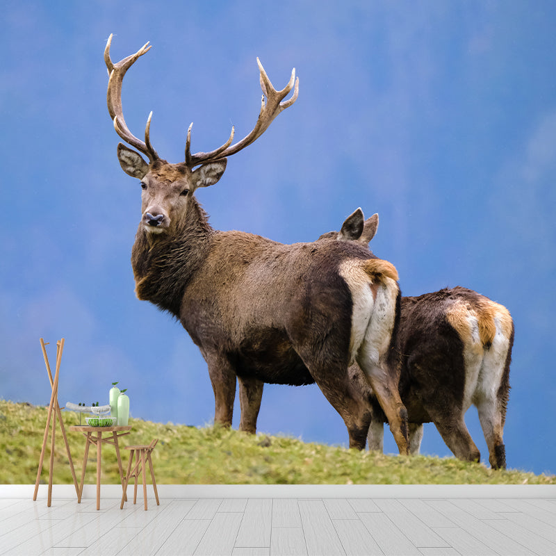 Deer Customized Modern Animal Mural Wallpaper Waterproofing, Personalized Size