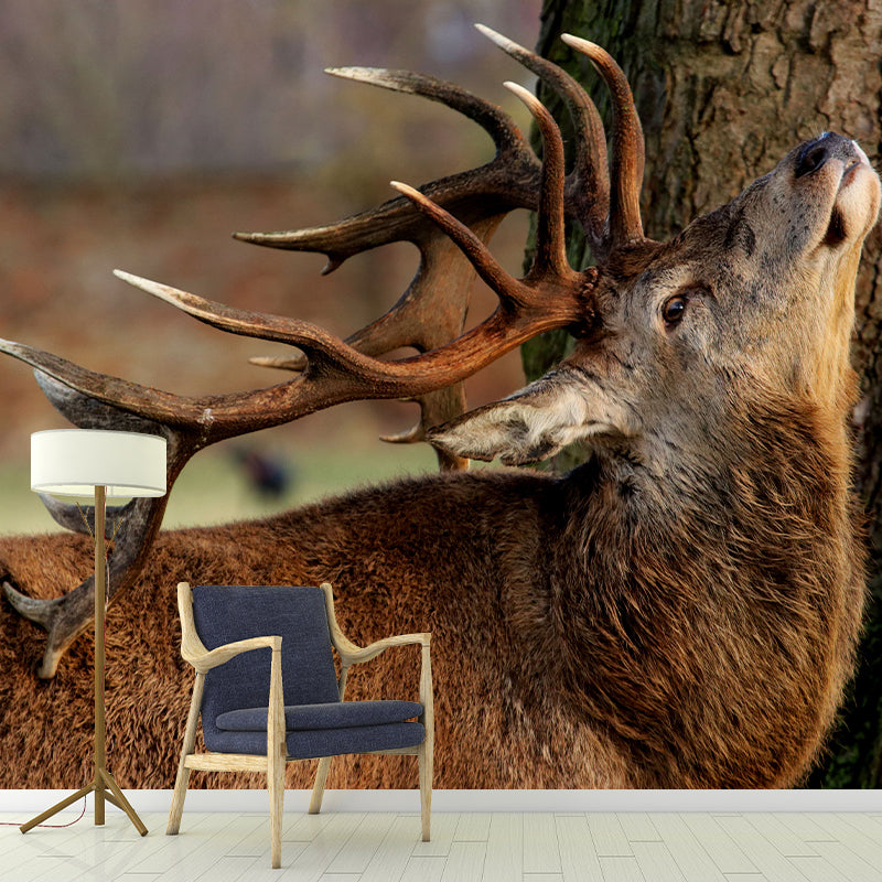 Deer Customized Modern Animal Mural Wallpaper Waterproofing, Personalized Size