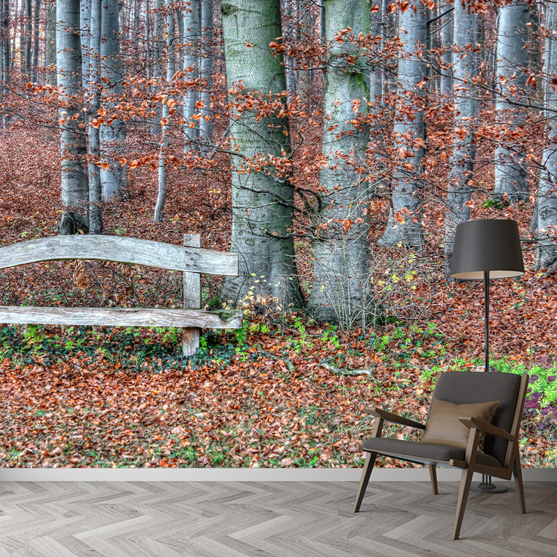 Autumn Forest Landscape Removable Wall Mural for Reading Room, Stain Resistant
