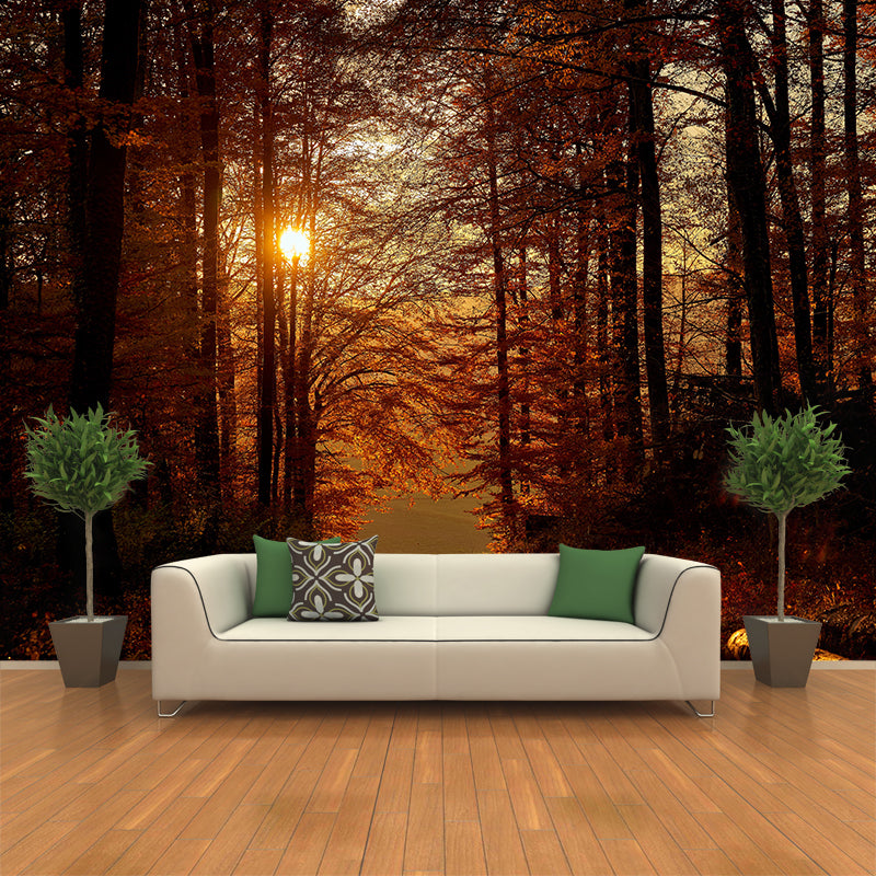 Autumn Forest Landscape Removable Wall Mural for Reading Room, Stain Resistant